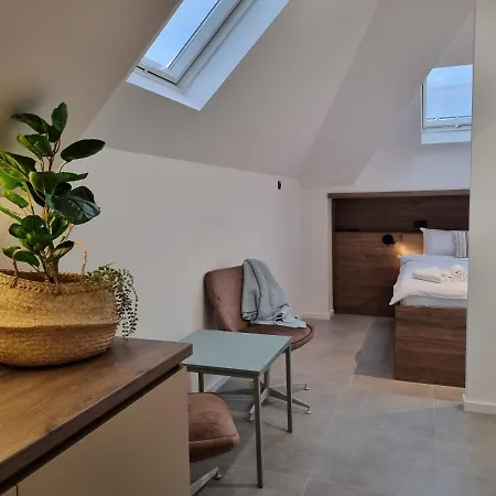 公寓 Parliament View 贝尔格莱德