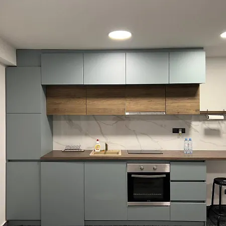 公寓 Parliament View 贝尔格莱德